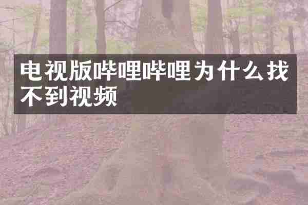 电视版哔哩哔哩为什么找不到视频