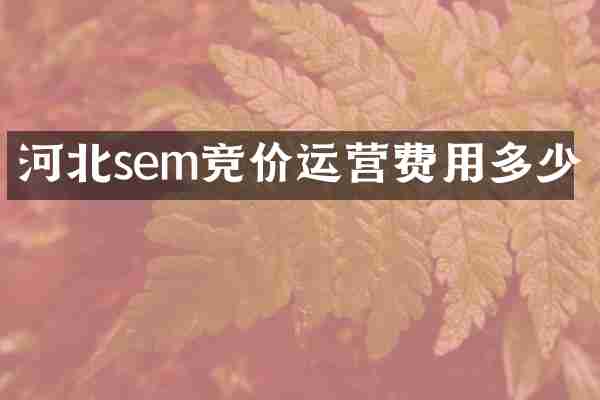 河北sem竞价运营费用多少