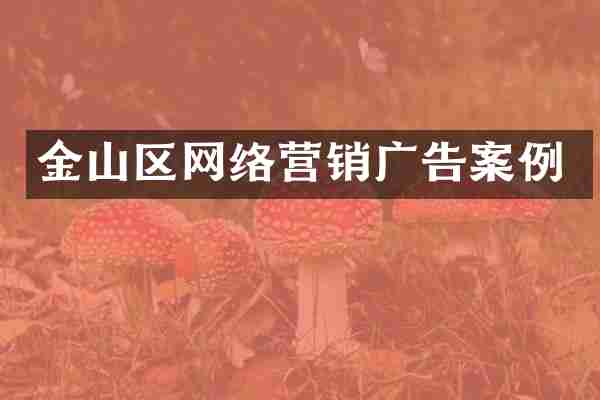 金山区网络营销广告案例