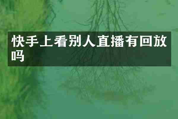 快手上看别人直播有回放吗