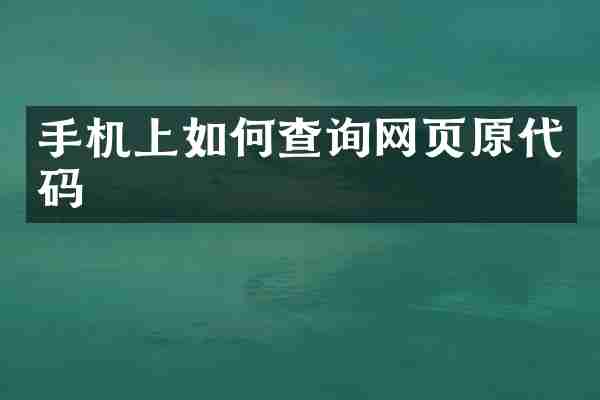 手机上如何查询网页原代码