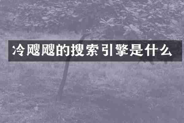 冷飕飕的搜索引擎是什么