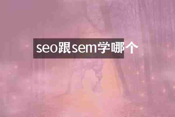 seo跟sem学哪个