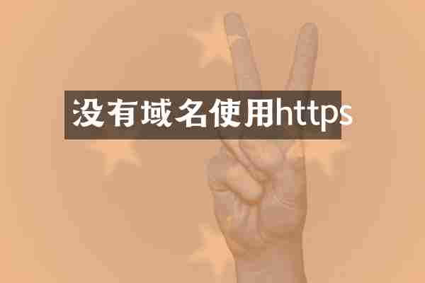没有域名使用https