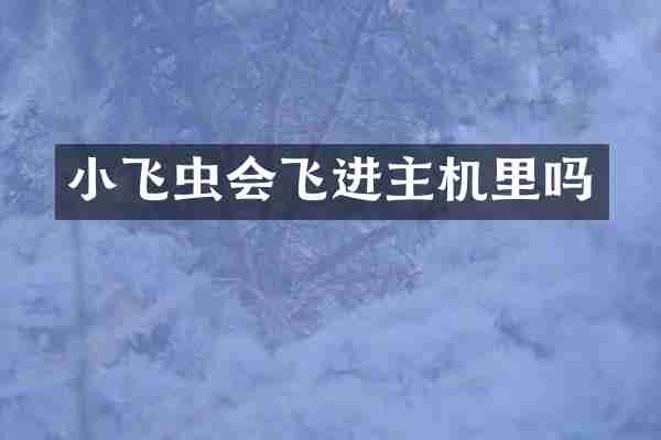 小飞虫会飞进主机里吗