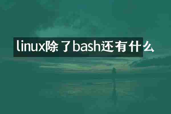 linux除了bash还有什么