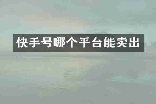快手号哪个平台能卖出