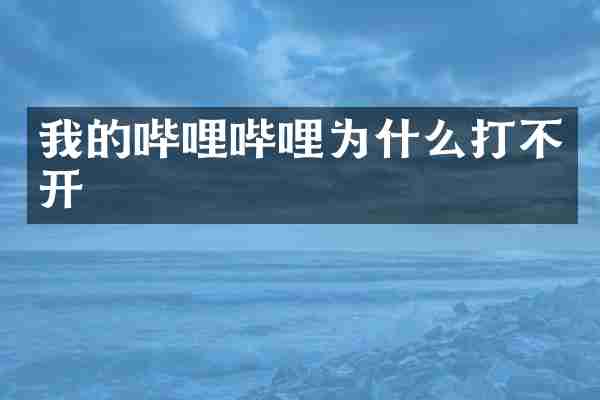 我的哔哩哔哩为什么打不开