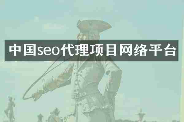中国seo代理项目网络平台