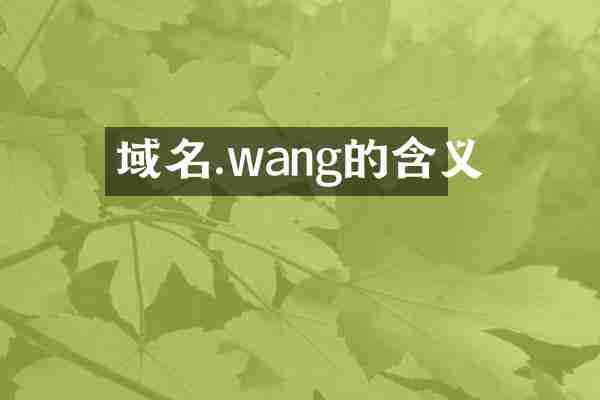 域名.wang的含义