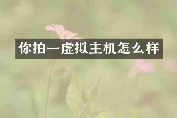 你拍一虚拟主机怎么样