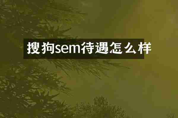 搜狗sem待遇怎么样