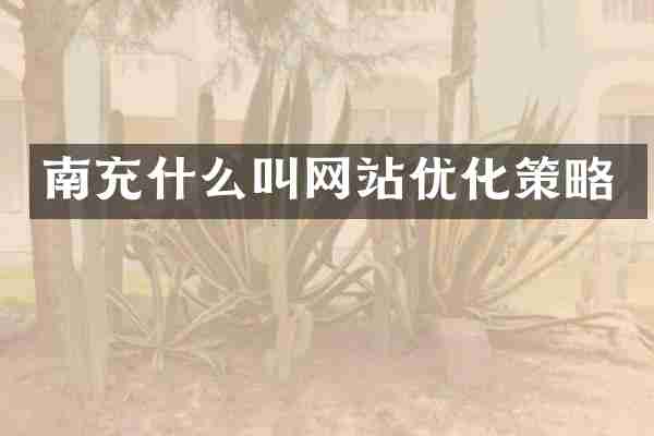 南充什么叫网站优化策略