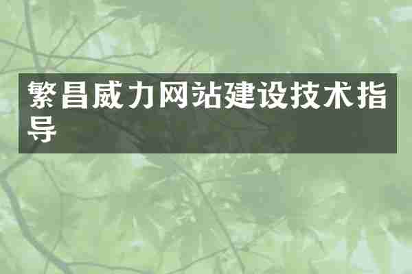 繁昌威力网站建设技术指导
