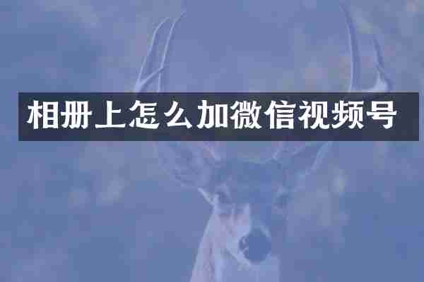 相册上怎么加微信视频号