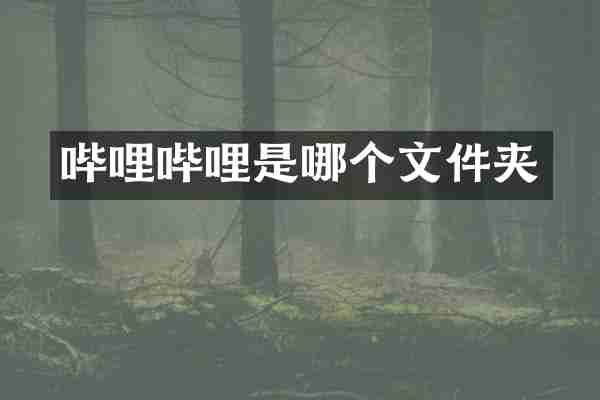 哔哩哔哩是哪个文件夹