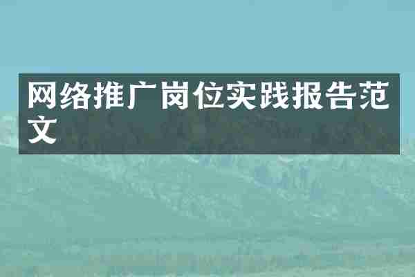 网络推广岗位实践报告范文