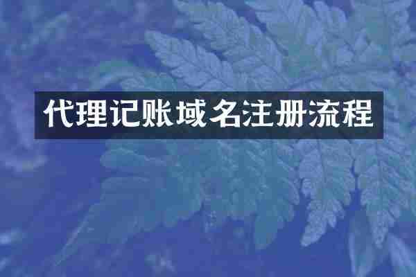 代理记账域名注册流程
