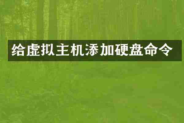 给虚拟主机添加硬盘命令