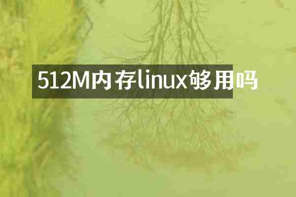 512M内存linux够用吗