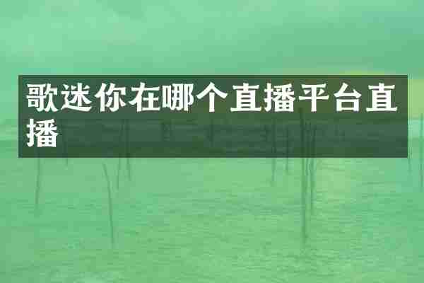 歌迷你在哪个直播平台直播