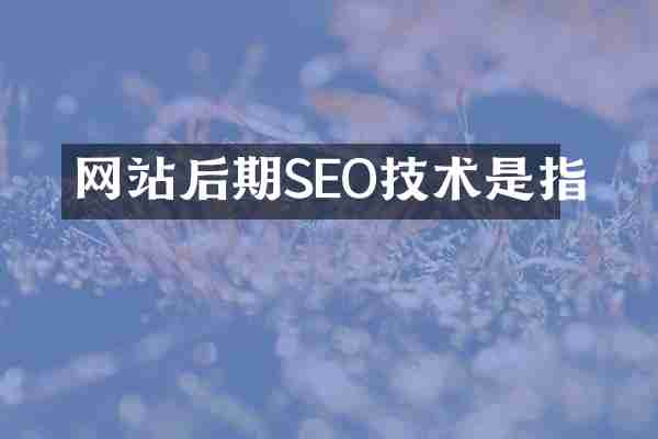 网站后期SEO技术是指