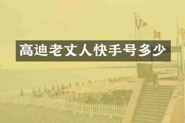 高迪老丈人快手号多少