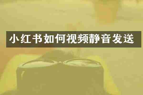 小红书如何视频静音发送