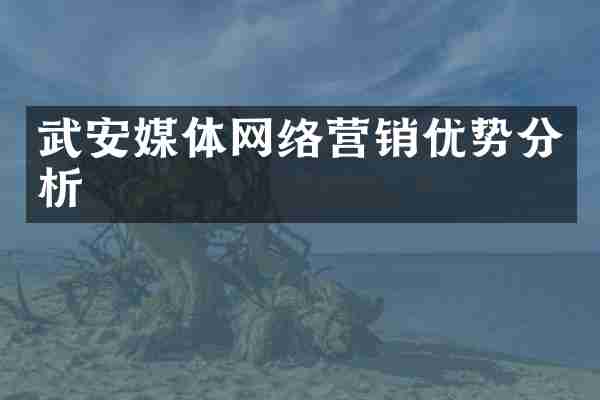 武安媒体网络营销优势分析