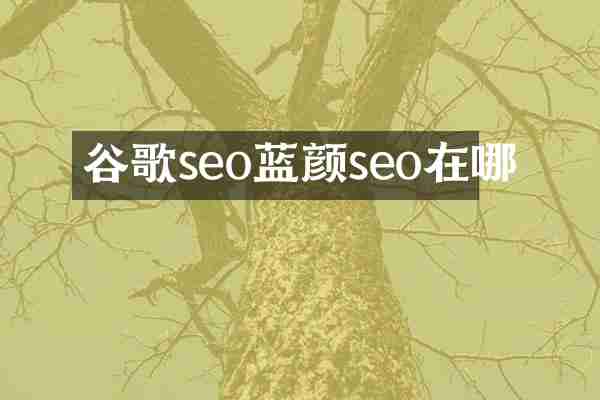 谷歌seo蓝颜seo在哪