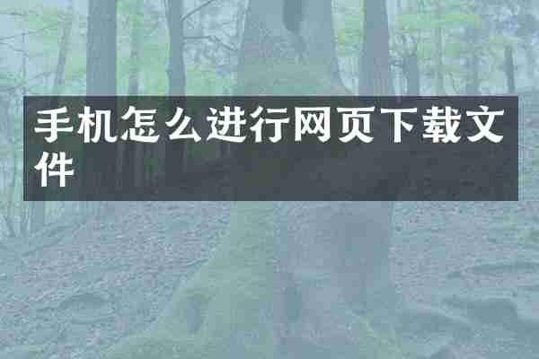 手机怎么进行网页下载文件