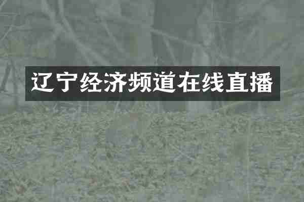 辽宁经济频道在线直播