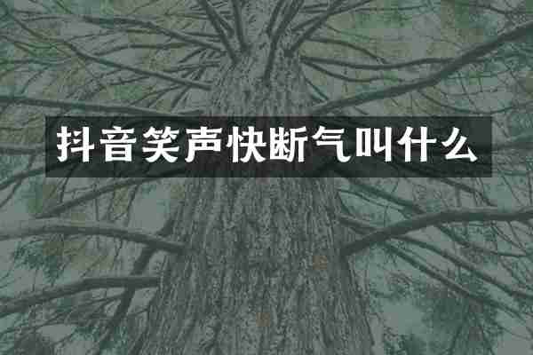 抖音笑声快断气叫什么