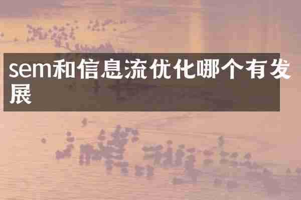 sem和信息流优化哪个有发展