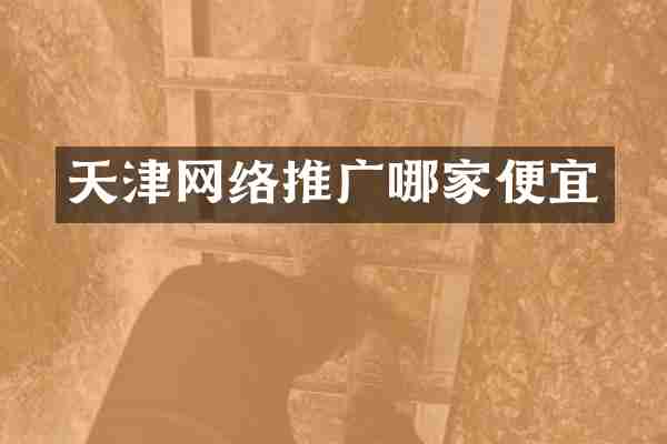 天津网络推广哪家便宜