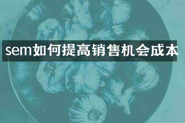 sem如何提高销售机会成本