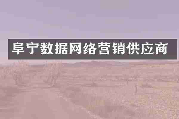阜宁数据网络营销供应商
