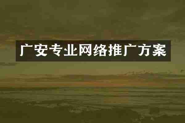 广安专业网络推广方案