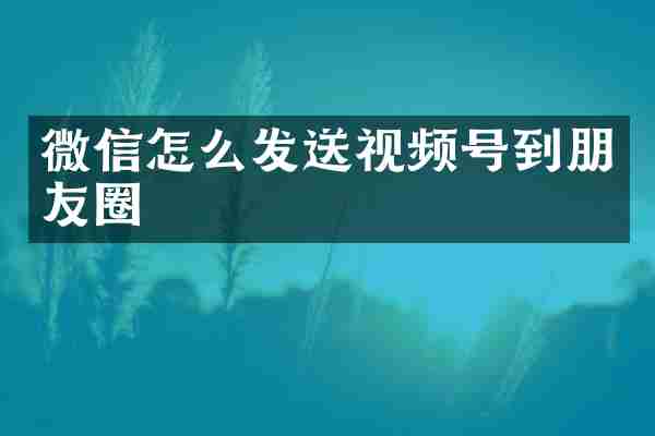 微信怎么发送视频号到朋友圈