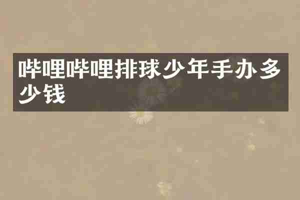 哔哩哔哩排球少年手办多少钱