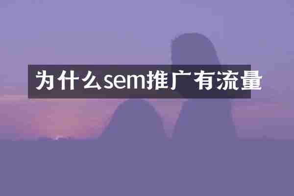 为什么sem推广有流量