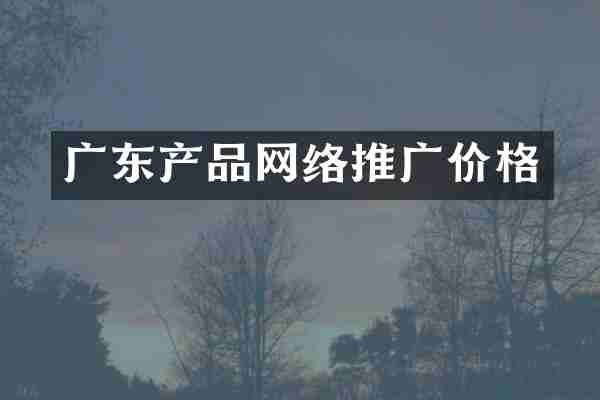 广东产品网络推广价格
