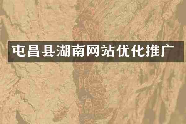 屯昌县湖南网站优化推广