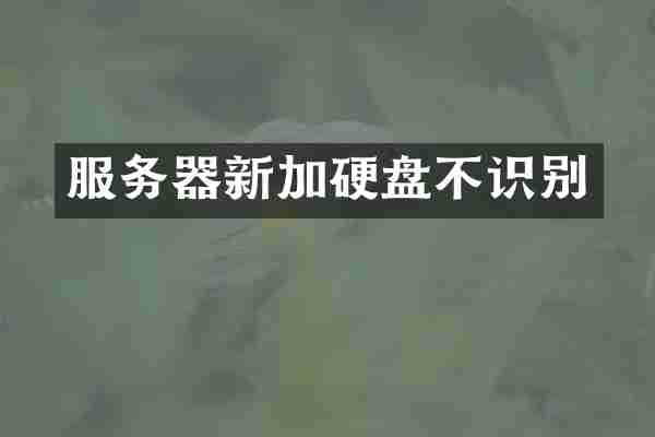 服务器新加硬盘不识别