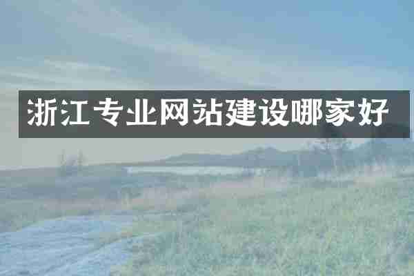 浙江专业网站建设哪家好