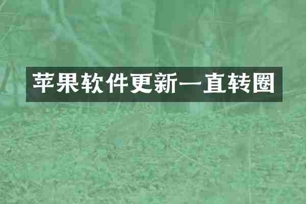 苹果软件更新一直转圈