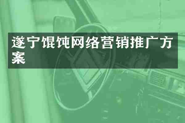 遂宁馄饨网络营销推广方案
