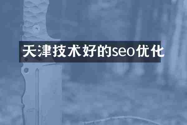 天津技术好的seo优化