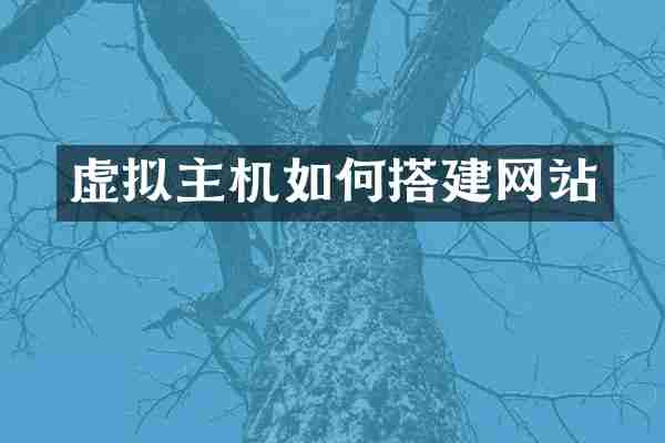 虚拟主机如何搭建网站