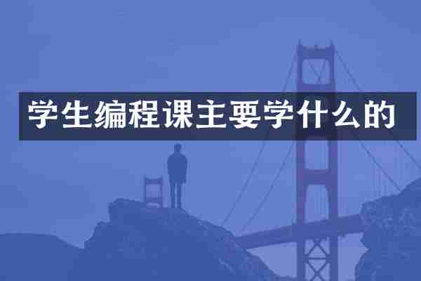 学生编程课主要学什么的